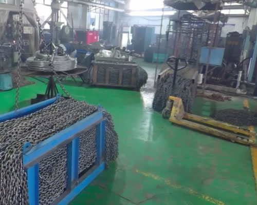 Application Case of Transporter in Ring Lifting Chain Factory