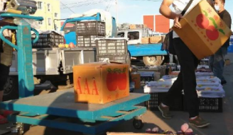 Which manual handling truck is suitable for use in fruit and vegetable wholesale markets